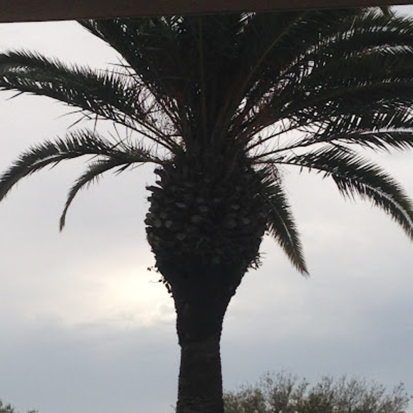 Meet your Posher, Memester - Picture 1 of 1